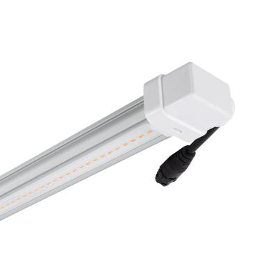 Produkt von LED-Wachstumsröhre T8 G13 60 cm Batten Grow 10W