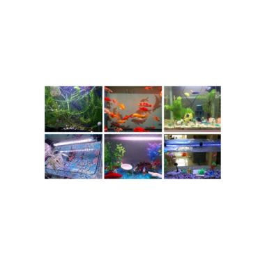 Produkt von LED-Licht für Aquarium RGBW 1.5W IP67