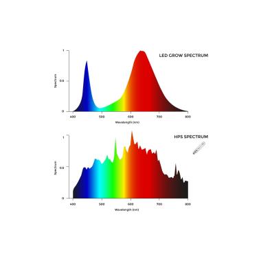 Produkt von LED Wachstumsleuchte 600-800W Spider PRO Dimmbar