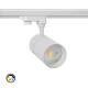 Produkt von LED-Strahler für 3-Phasenstromschiene 30W Dimmbar CCT Wählbar New Mallet No Flicker UGR15