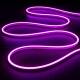 Product of 100m Coil 12V 110 LED/m Neon LED Freecut for Neon Signs 12mm Wide