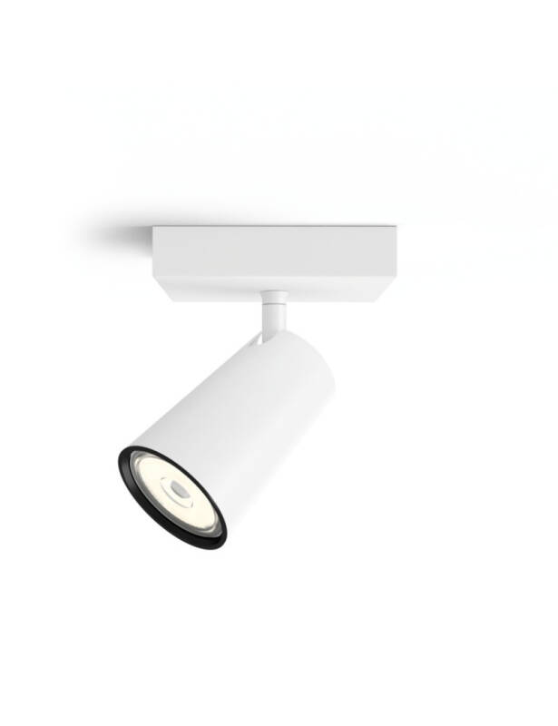 Product van Plafondlamp PHILIPS Paisley LED met 1 Spotlight 