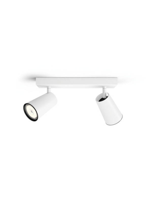 Prodotto da Lampada da Soffitto PHILIPS Paisley con due faretti 