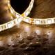 Product of 5m 12V DC, SMD5050, 60LED/m, IP65 LED Strip 10mm Wide