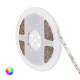 Product of 5m 24V DC 60LED/m IP65 RGB LED Strip 10mm Wide