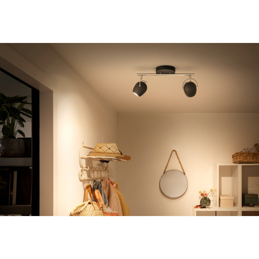 Product van Plafondlamp PHILIPS Rivano LED 2x4.3W met 2 Spotlight