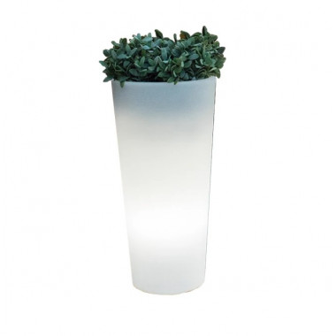 Vaso Ficus 60 Cavo Esterno Freddo