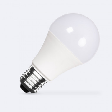 LED-Glühbirne E27 10W 1000 lm A60 12/24V