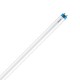 Tubo LED Philips T8 600mm Conexión un Lateral 8W