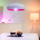 Bombilla LED Smart WiFi + Bluetooth E27 A67 RGBCCT Regulable WIZ 13W