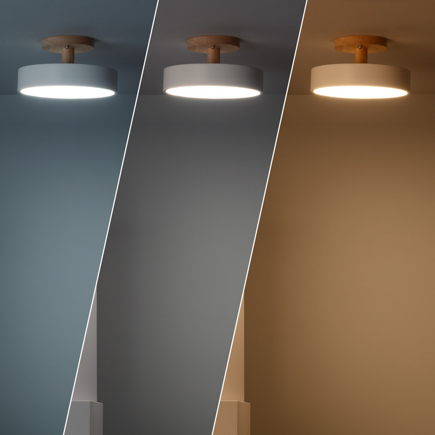 Lámpara de Techo LED Whisty 12W