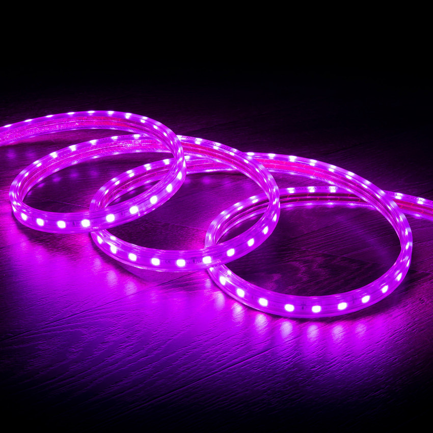 Purple LED Strip 220V AC 60 LED/m IP65 