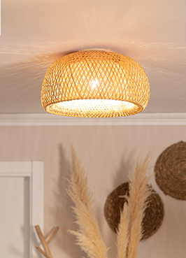 Immagine Lampade da soffitto