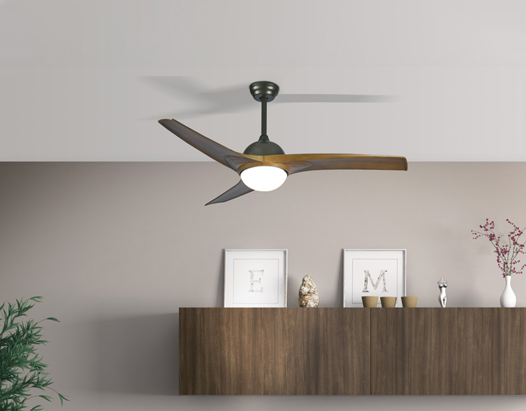 Ventilateurs de Plafond