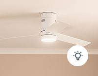 Ceiling Fans with Light