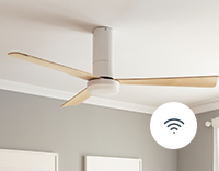 Ventilatori da Soffitto con WiFi