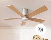 Ceiling Fans with Summer-Winter function