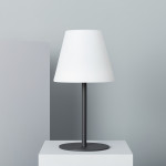 Solar LED Lights